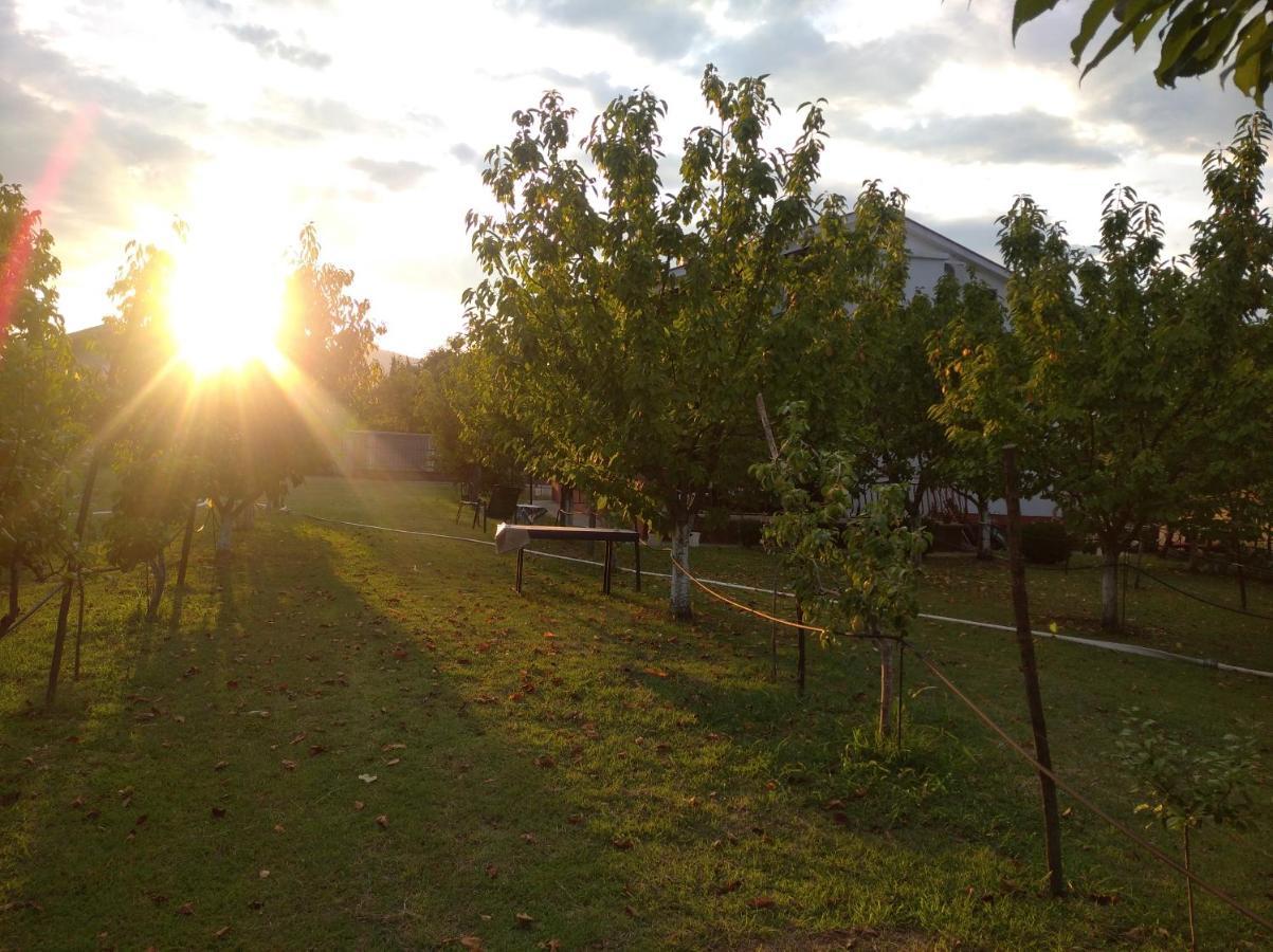 Airport Radinovic Podgorica