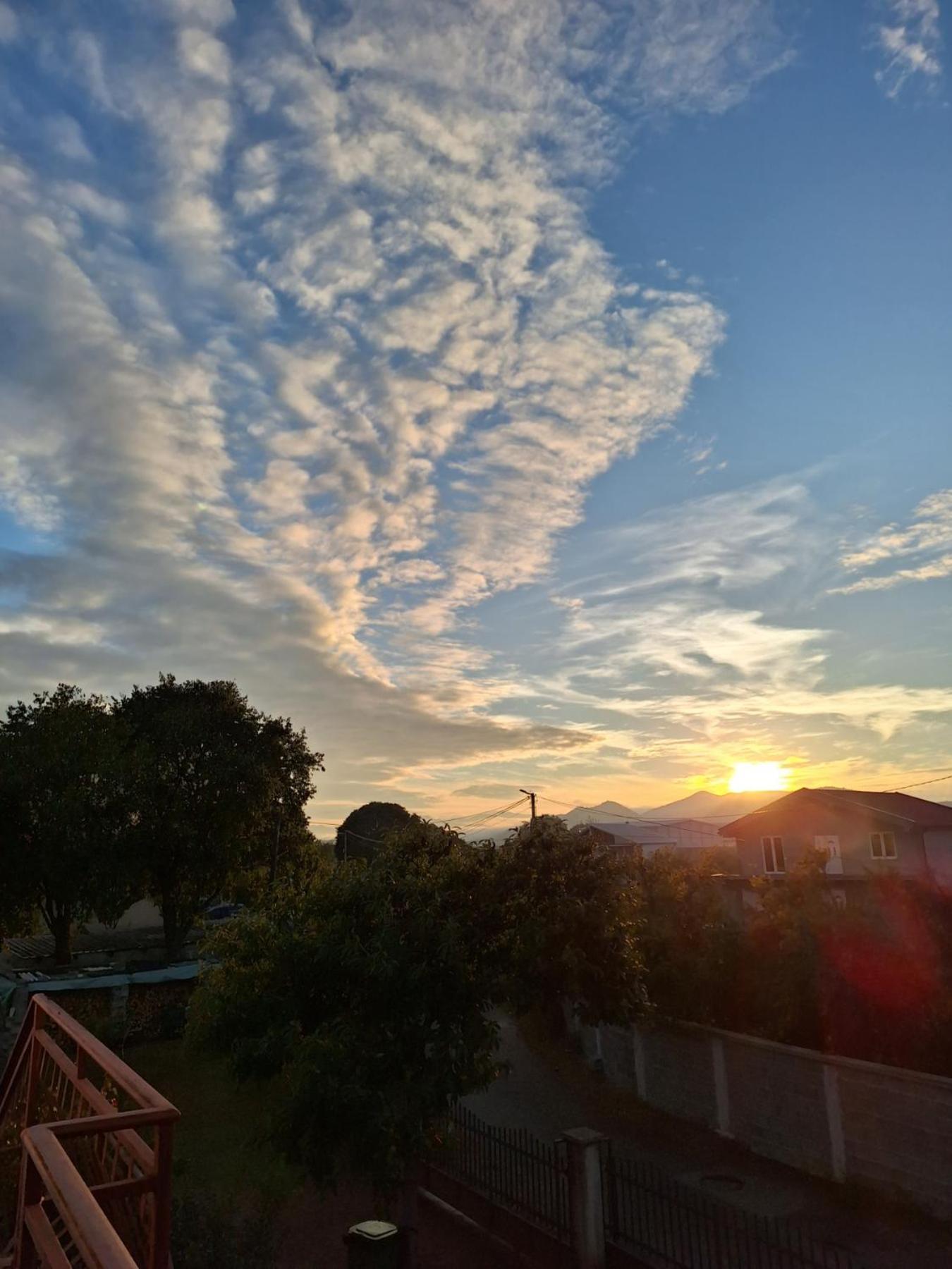 Farm stay Airport Radinovic *