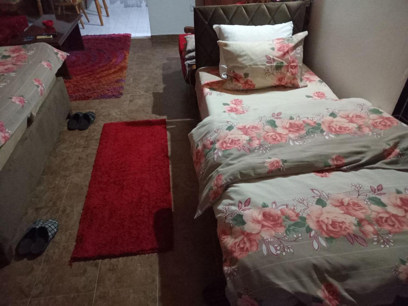 Farm stay Airport Radinovic *
