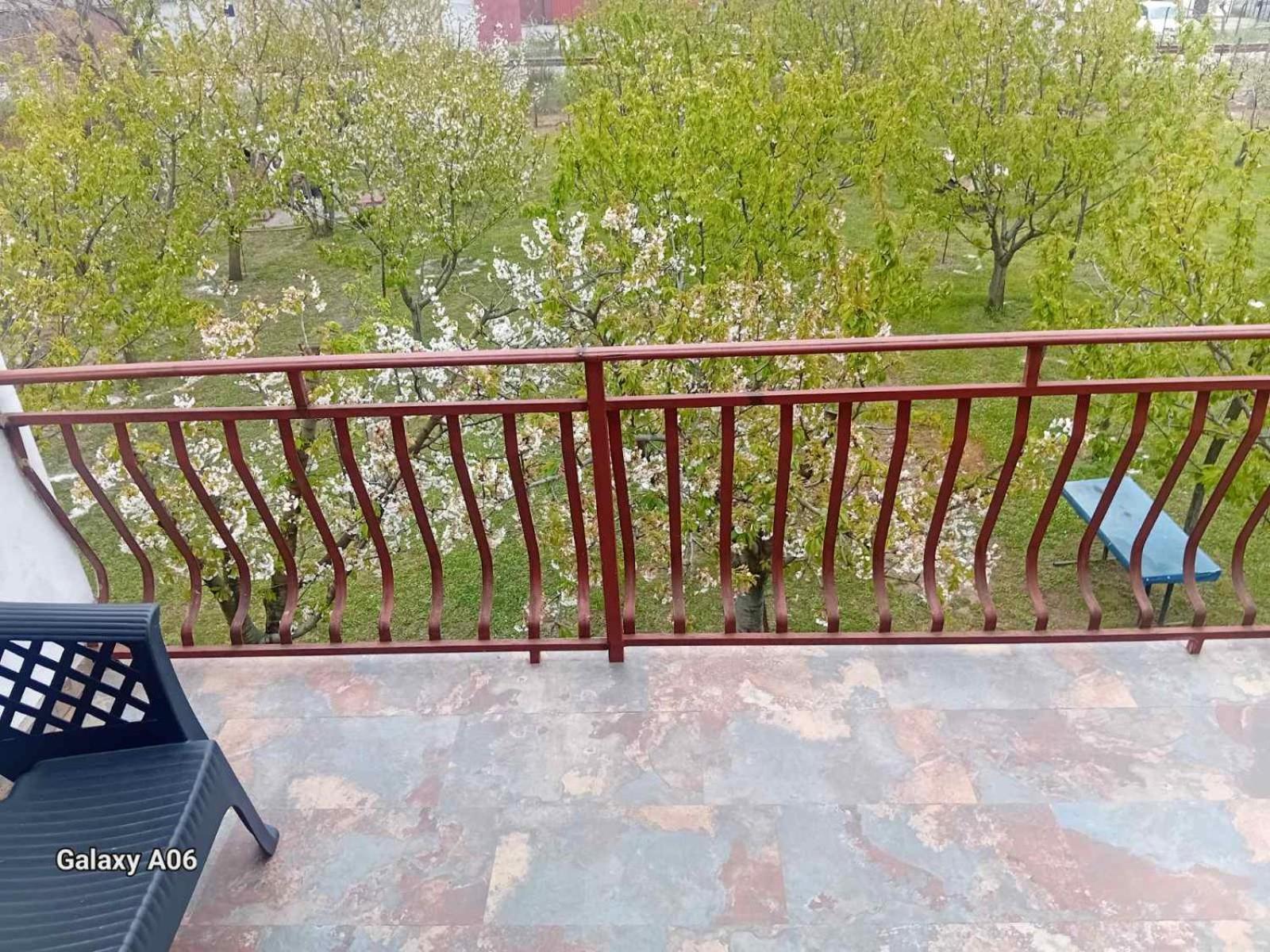 Airport Radinovic Farm stay Podgorica