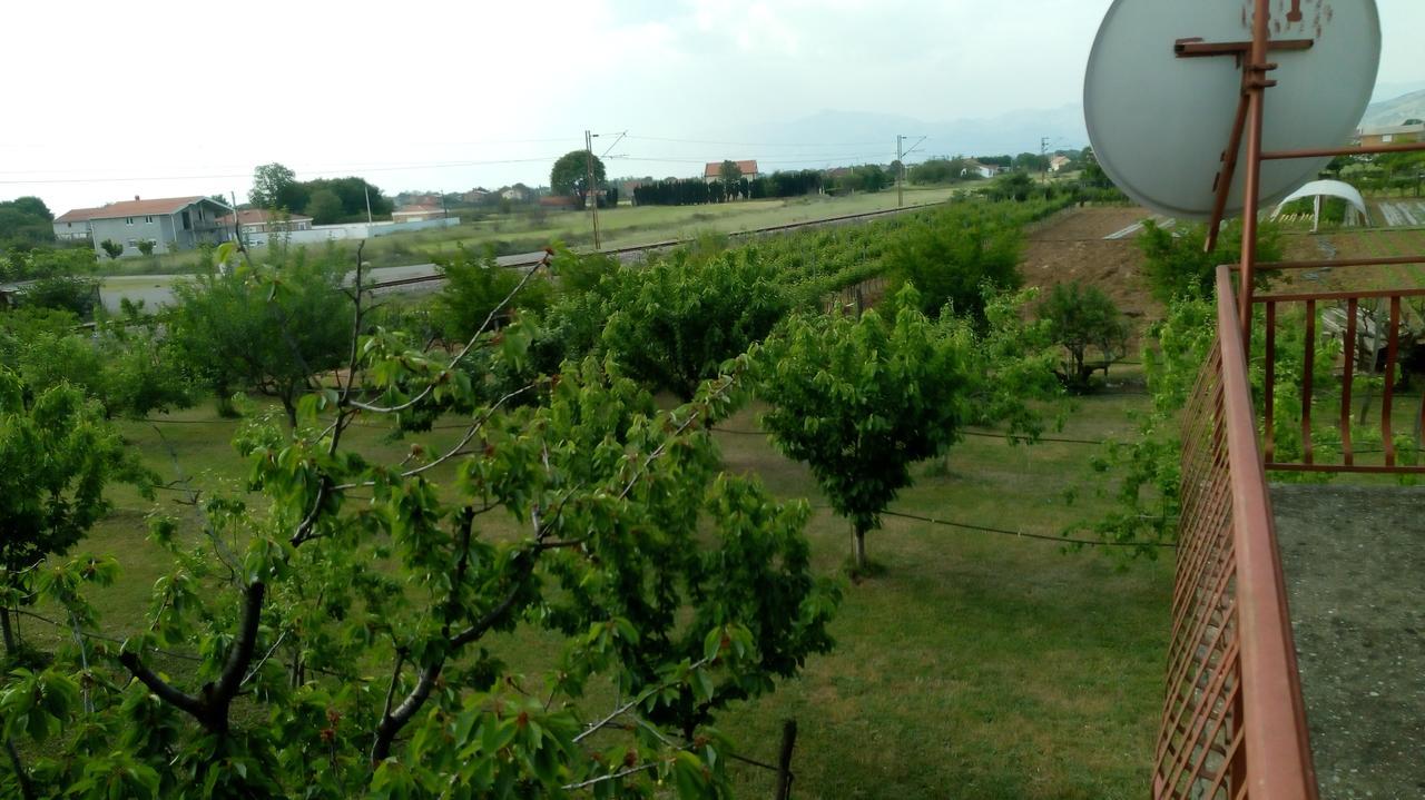 Airport Radinovic * Podgorica