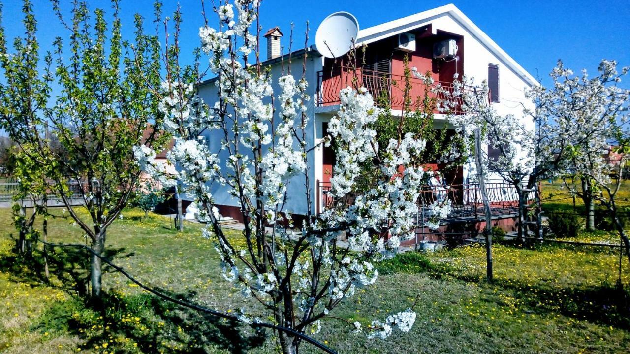 Farm stay Airport Radinovic Podgorica