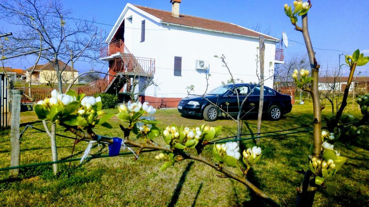 Farm stay Airport Radinovic Podgorica