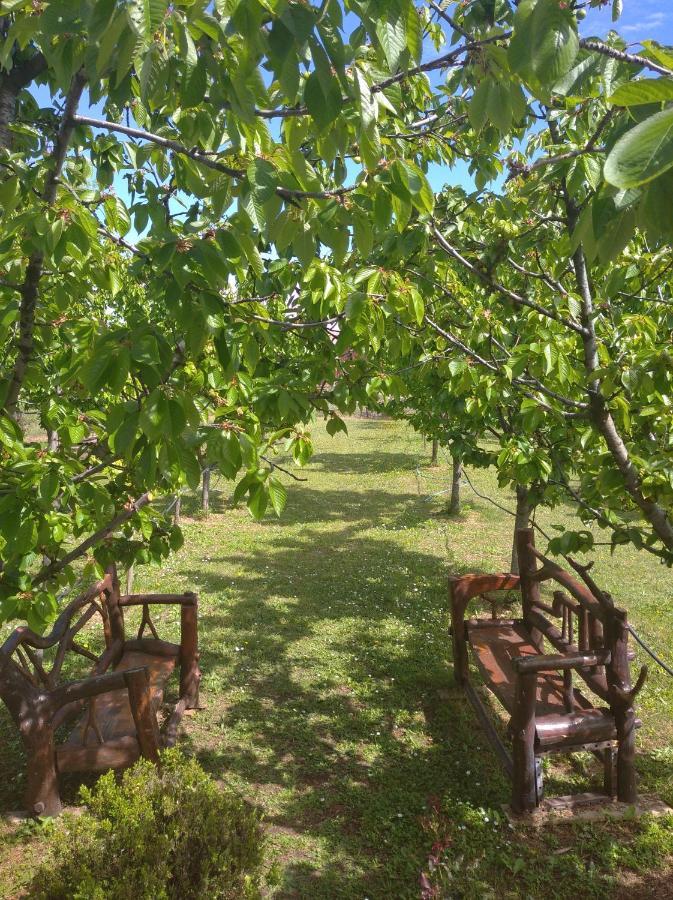 Farm stay Airport Radinovic